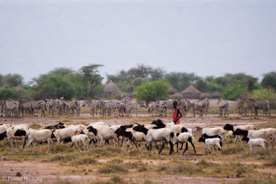 What’s good for livestock can be good for wildlife